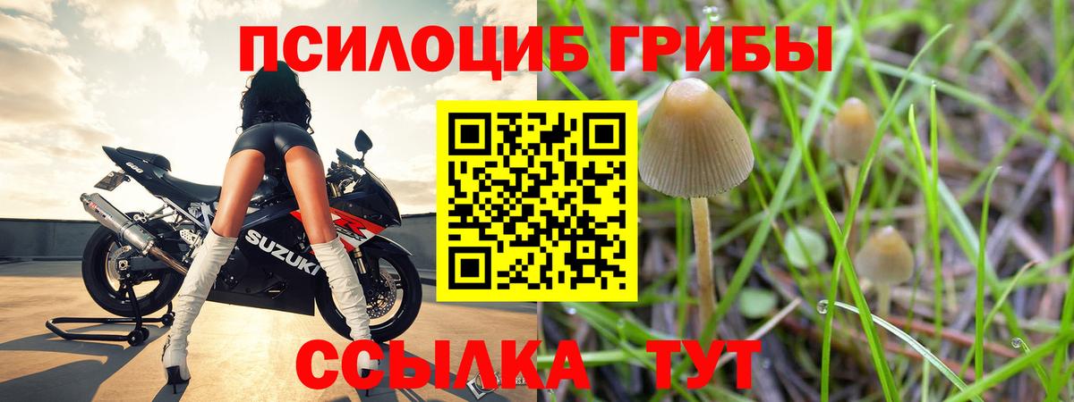 Галлюциногенные грибы ЛСД Костомукша